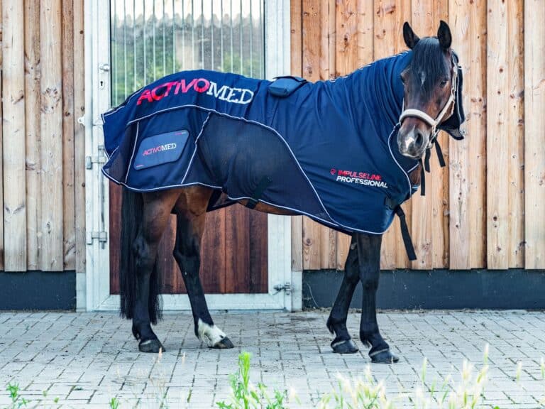activomed-decke-professional-3