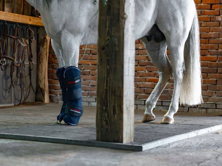 activomed-gamaschen-professional-1